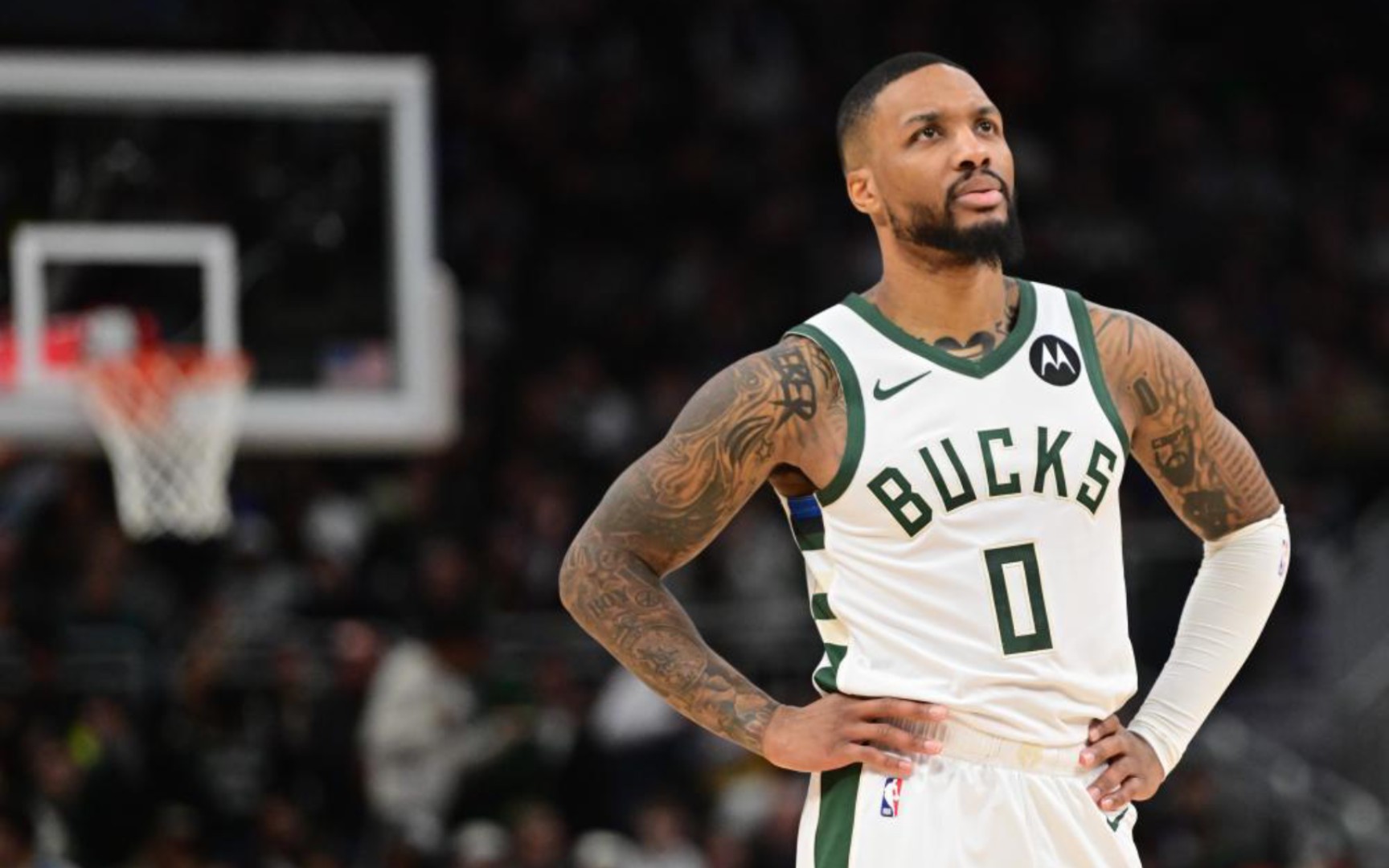 制与两翼突 制与两翼突